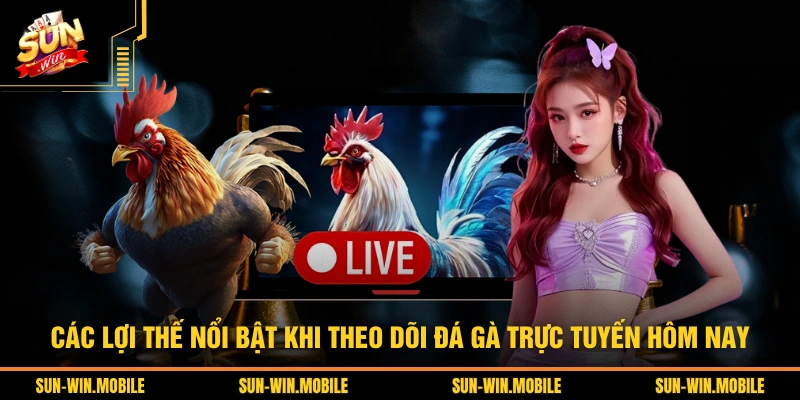 Các lợi thế nổi bật khi theo dõi Đá gà trực tuyến hôm nay