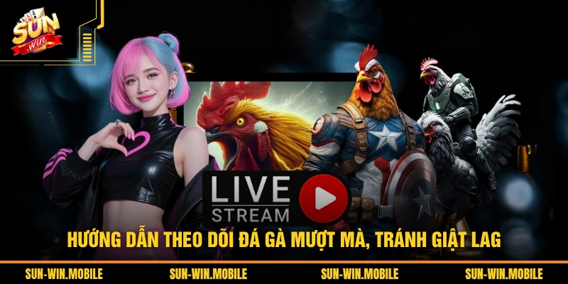 Hướng dẫn theo dõi đá gà mượt mà, tránh giật lag