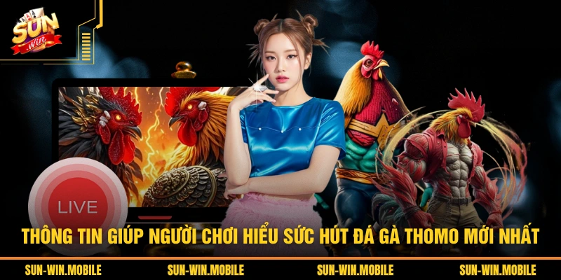 Thông tin giúp người chơi hiểu sức hút đá gà Thomo mới nhất