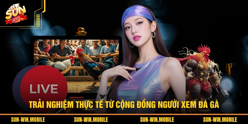 Trải nghiệm thực tế từ cộng đồng người xem đá gà