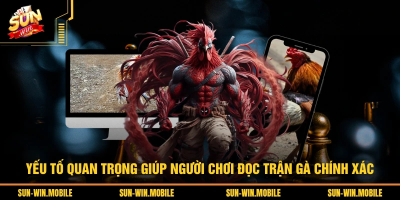 Yếu tố quan trọng giúp người chơi đọc trận gà chính xác