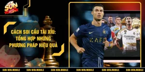 Cách Soi Cầu Tài Xỉu