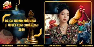 Đá Gà Thomo Mới Nhất - Bí Quyết Xem Chuẩn Xác 2026