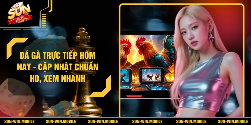 Đá Gà Trực Tiếp Hôm Nay